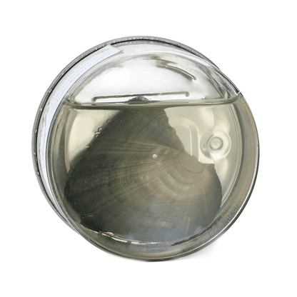 Mystery Pearl Pendant