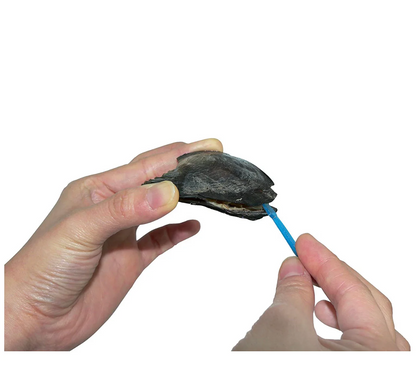 Mystery Pearl Pendant